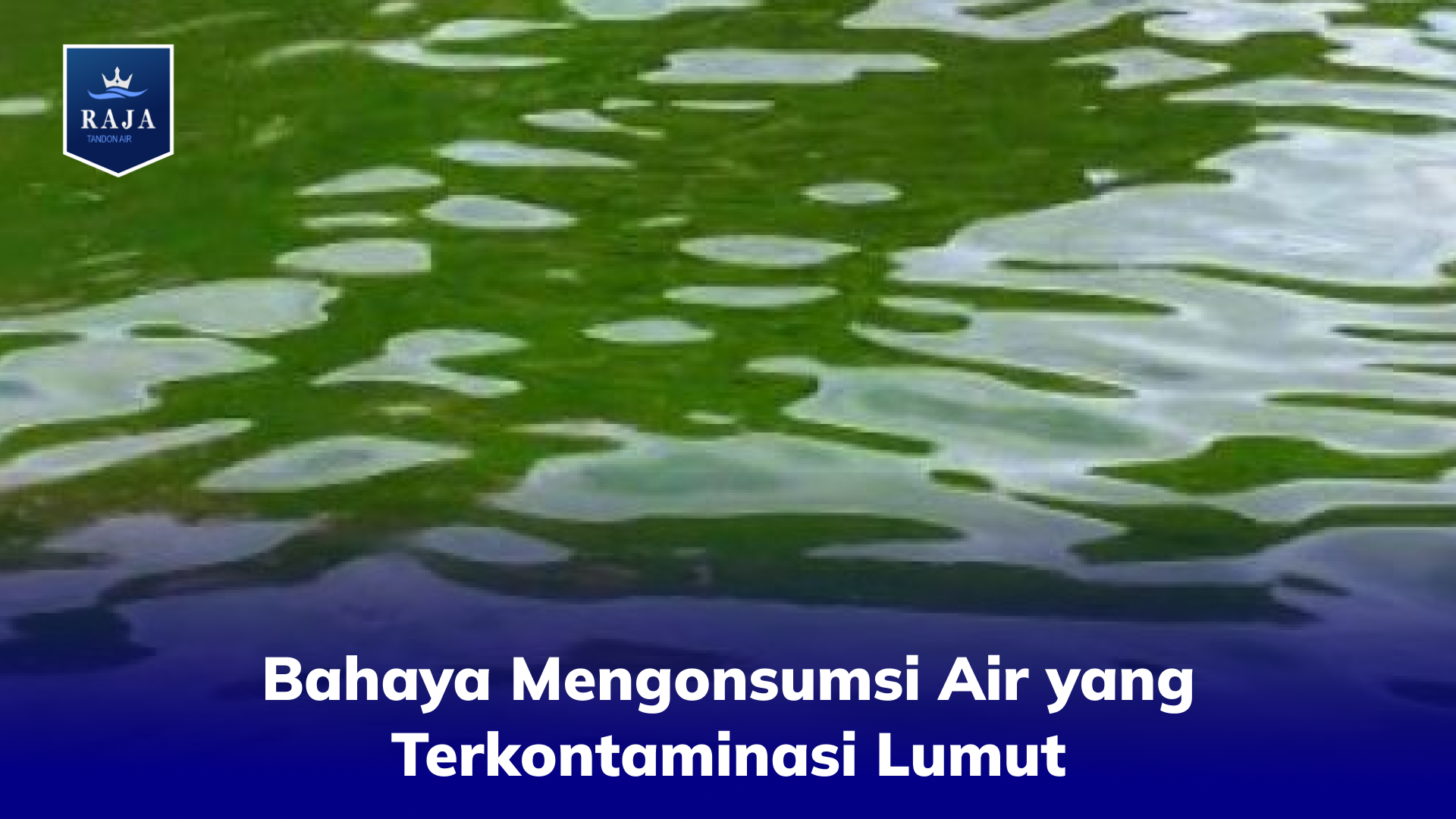Bahaya Mengonsumsi Air yang Terkontaminasi Lumut