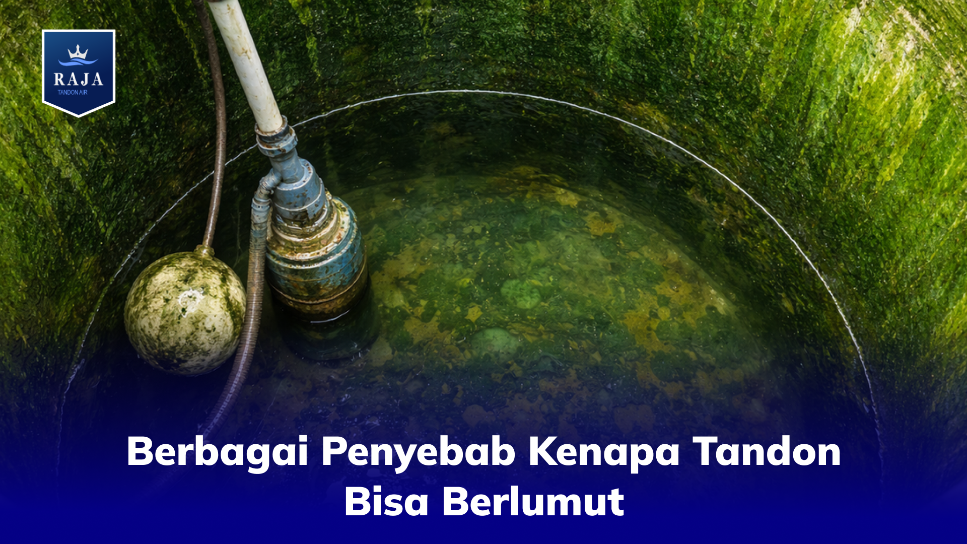 Berbagai Penyebab Kenapa Tandon Bisa Berlumut
