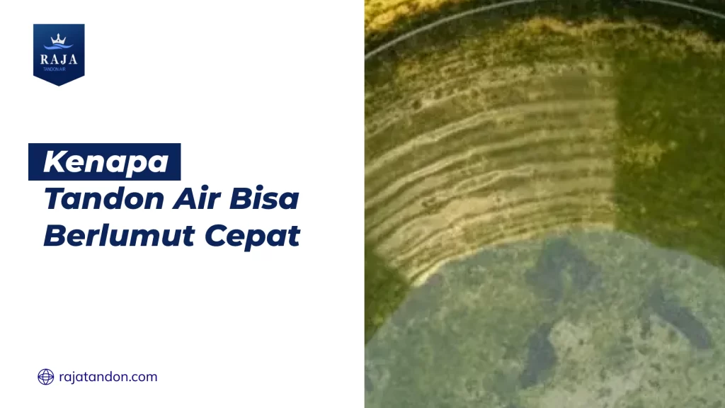 Kenapa Tandon Air Bisa Berlumut Cepat