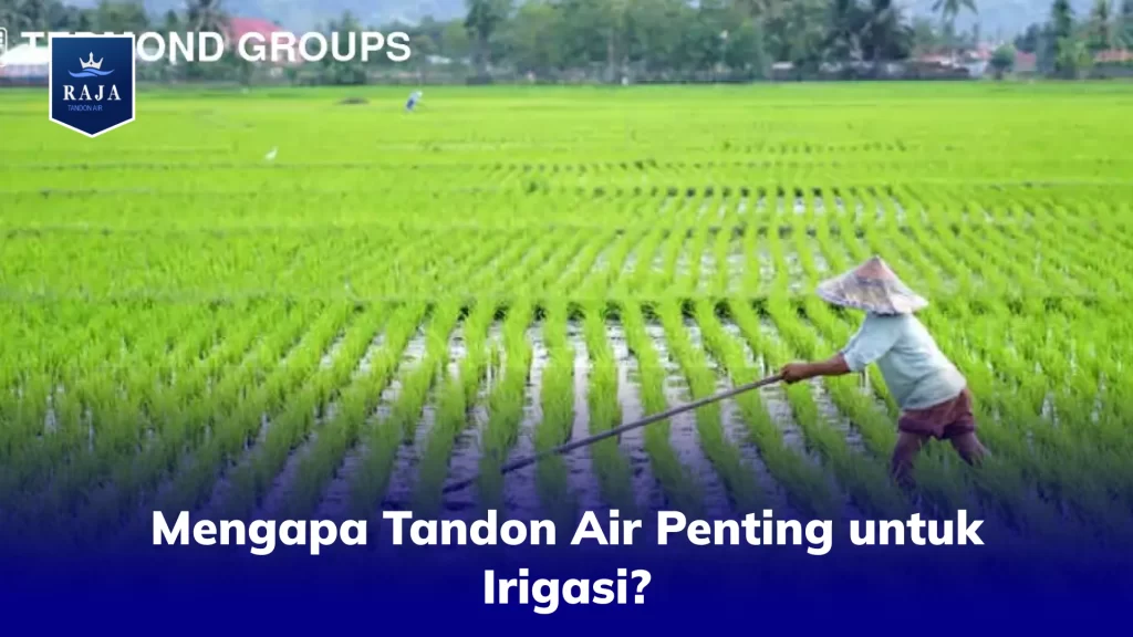 Mengapa Tandon Air Penting Untuk Irigasi?