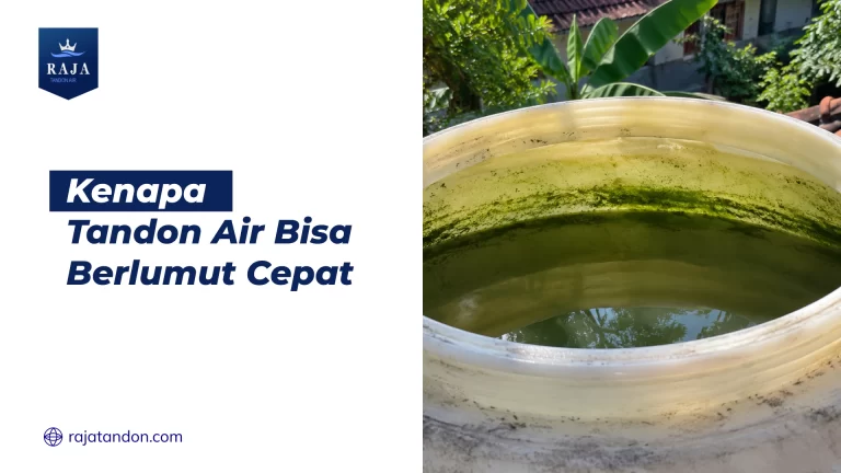 Kenapa Tandon Air Bisa Berlumut Cepat